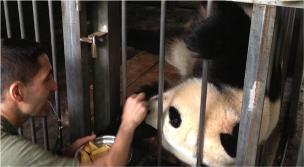 Playing with pandas