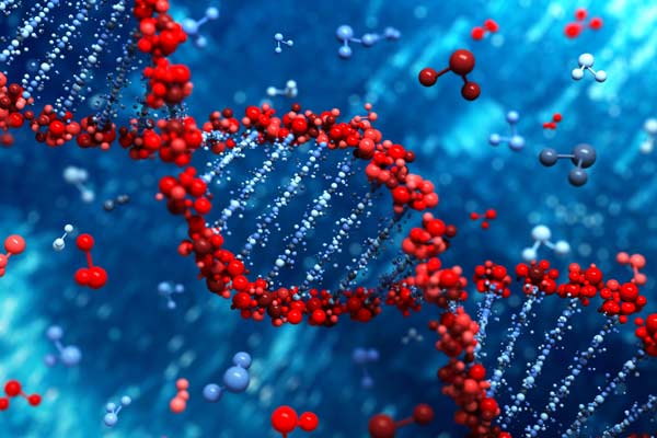 Chinese scientists make chromatin breakthrough