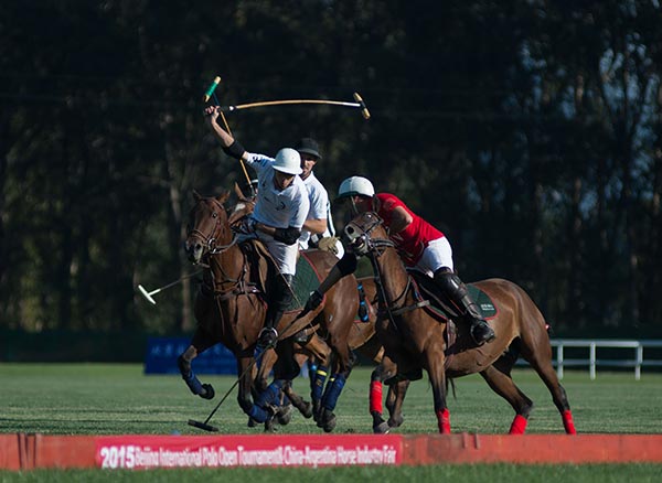 Seeking a polo position in growing sports market