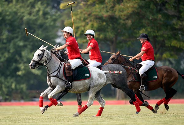 Seeking a polo position in growing sports market