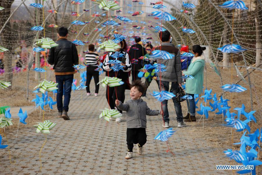 People view pinwheel decoration in NE China's Liaoning