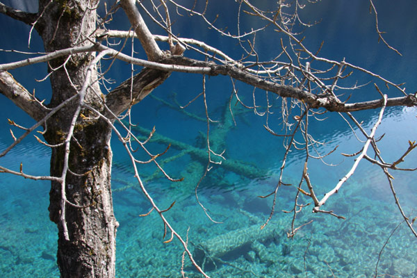 Jiuzhaigou - brilliant blues touch heaven and earth