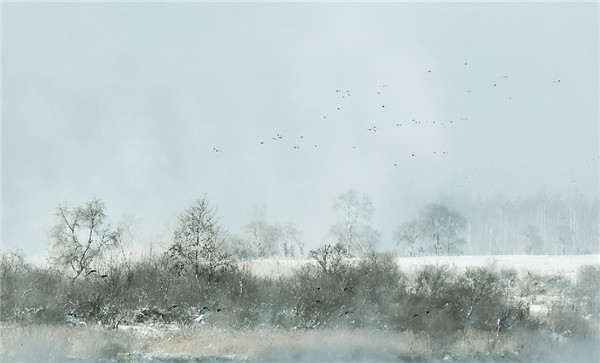 Northeast China Plain in late winter