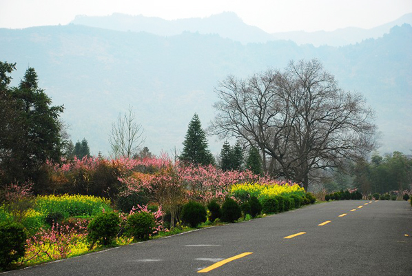 Returning to nature at Tachuan, Anhui