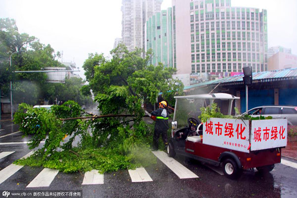 Typhoon Linfa makes landfall in Guangdong, disrupting normal life