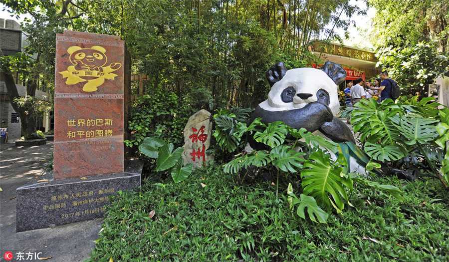 People pay tribute to world's oldest panda