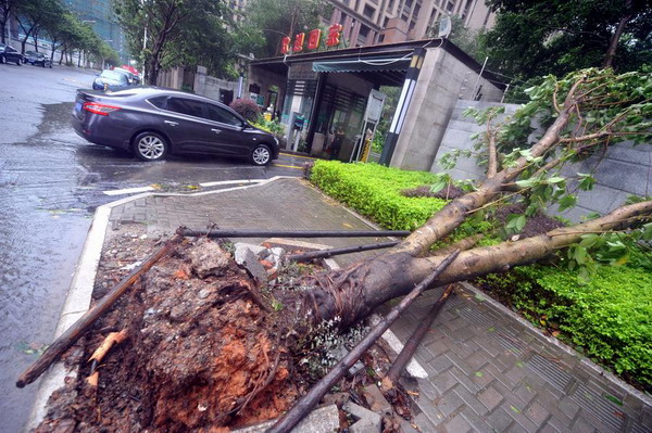 Typhoon makes landfall in Fujian