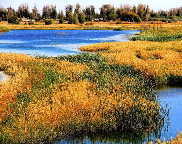 Autumn view of Zhangye National Wetland Park (Zhangye)