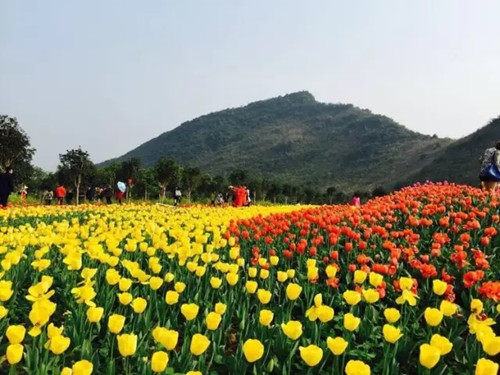 Lantern Festival celebrated in Hechi