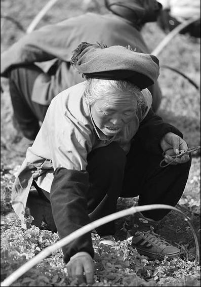 Man helps uproot poverty in Guizhou