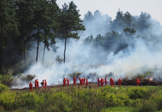 Guiyang holds forest fire prevention drill