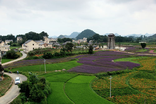 Memory of Zhexiang