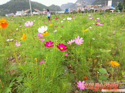 Donghu Park in Xingren county