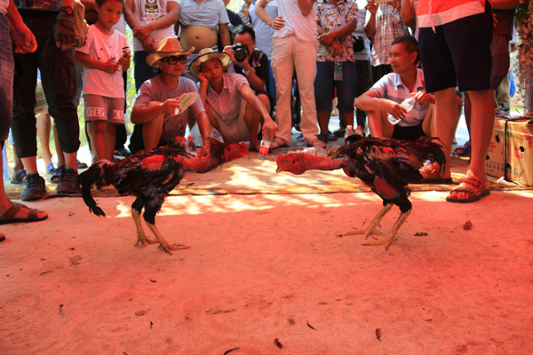 Fair festival showcases traditional Dong culture