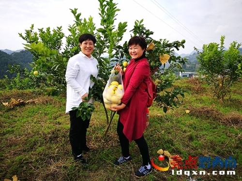 Local man curves poverty in Xingyi with lemons