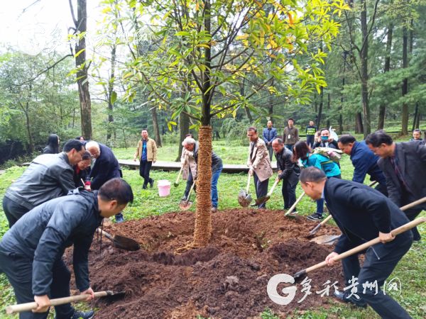 Guizhou launches forest experience project with Germany