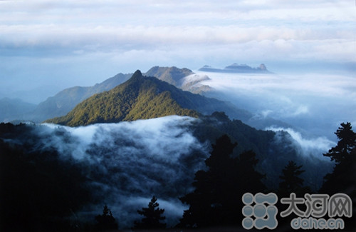 Nanyang reserve granted Forest Oxygen Bar distinction