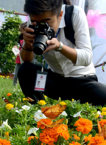 Beautiful butterflies presented in China's Kaifeng