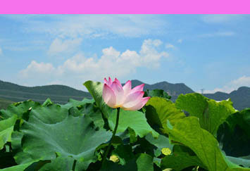 A season of fruit and flowers in Changsha county