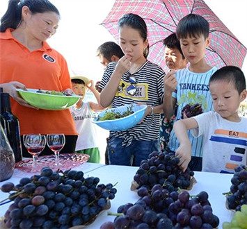 A season of fruit and flowers in Changsha county