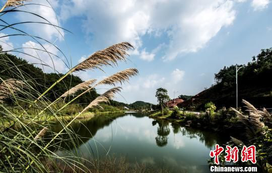 Xunlong River Eco Art Town brings beautiful countryside to life