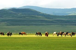 Eco-tour in east Inner Mongolia