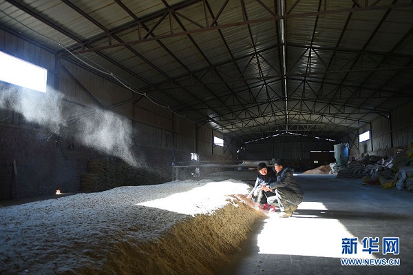 College graduate raises sheep on farm