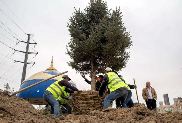 Hohhot plants trees to improve environment