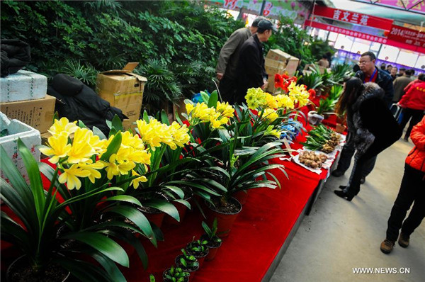 China (Changchun) Flower Expo kicks off