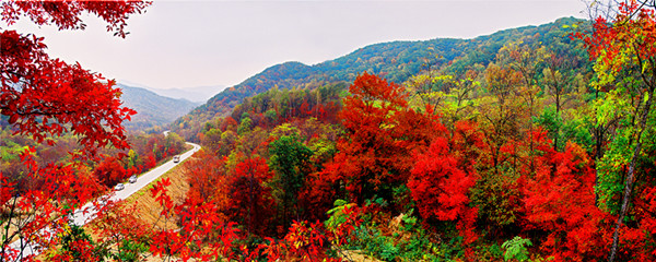 Hongye Valley