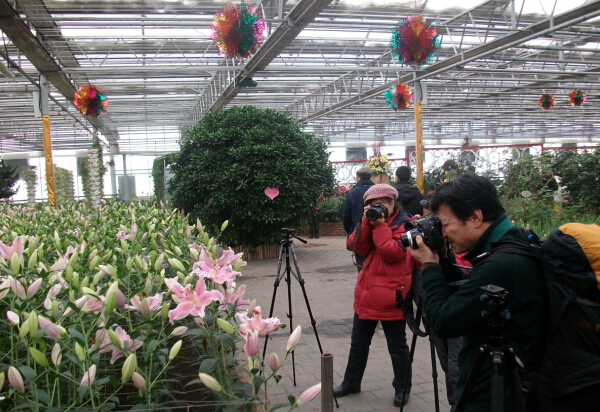 Jilin agriculture fair brings stunning returns