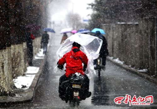 Snowfall hits Jilin a month ahead of summer