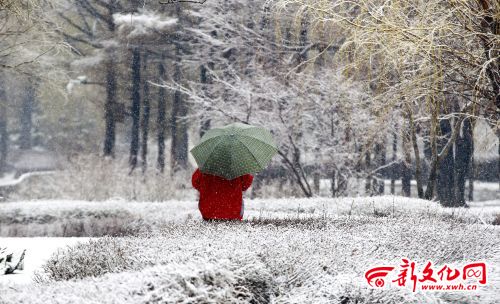 Snowfall hits Jilin a month ahead of summer