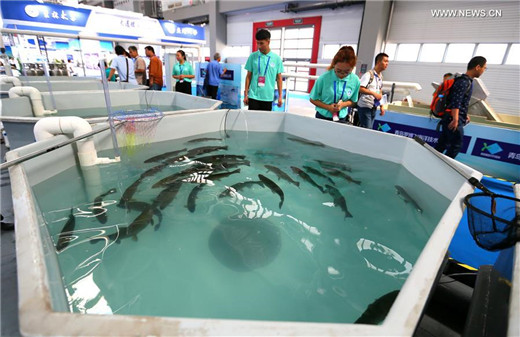 China Int'l Ocean Science & Technology Exhibition kicks off in Qingdao