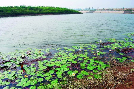 蓮花湖濕地公園