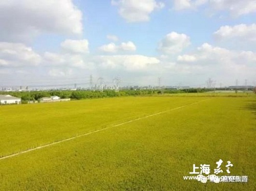 Ideal places to run in Jiading