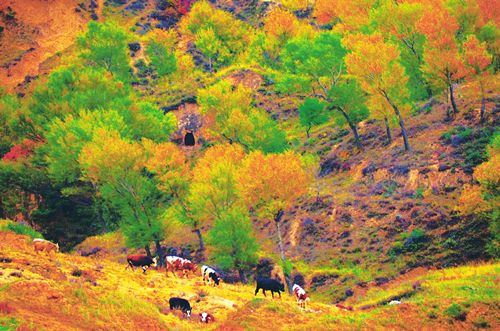 Autumn scenery in Shanxi