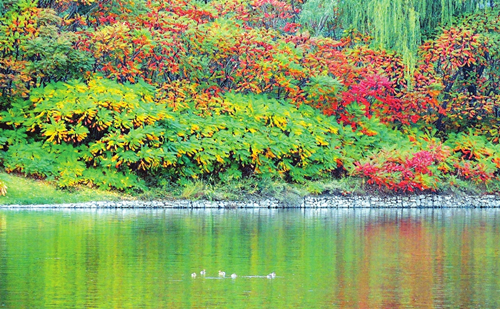 Autumn scenery in Shanxi