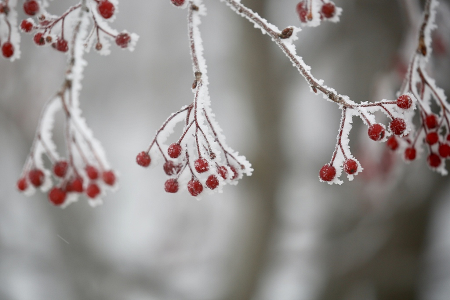 Frozen rime turns Mount Tai into fairyland