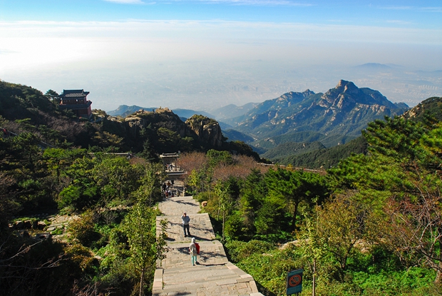 China's sacred mountain encourages public to 'adopt' ancient trees