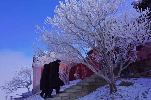 In pics: Mount Tai creates a delicate rime fantasy