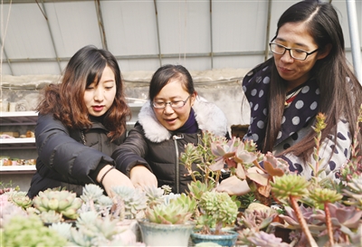 Strawberry picking warms the hearts of Tai'an locals