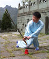 Taiji Sword of Wudang Mountain