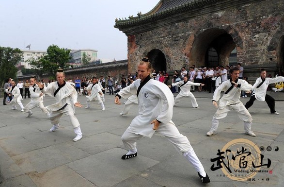 Foreigners keen to learn Wudang kungfu