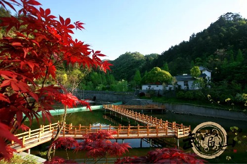 Autumn in Wudang: Quietly splendid