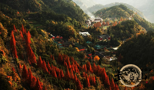 Wudang welcomes autumn red leaves