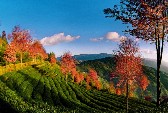 Scenes of breathtaking natural landscape in Pu’er