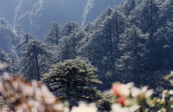 Natural reserves in Pu'er