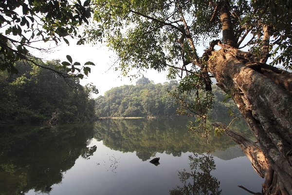 Four-day tour around Pu'er (1)