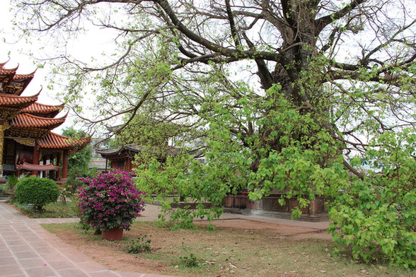 Mengwo Buddha Temple